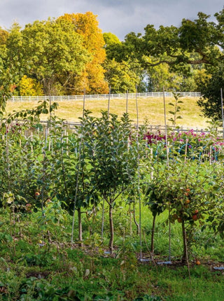 Agrobiodiversity