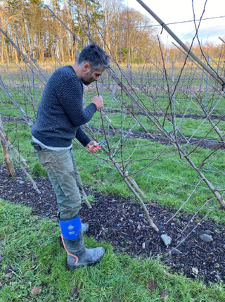 Winter Fruit Tree Pruning Course - Upton Cressett, Nr Bridgnorth - £125